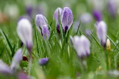 Niedersachsen und Bremen: Trockenes Wochenende mit Sonnenschein zum Ausklang