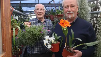 Orchideen-Umtopftag in Schwerin: Experten geben Pflegetipps für exotische Blütenpracht