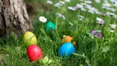 Ostereier-Suche mal anders: Drei außergewöhnliche Orte für ein unvergessliches Osterabenteuer