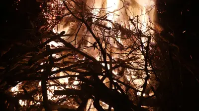 Osterfeuer-Eskalation in Lochau: 21-Jähriger verletzt 39-Jährigen schwer