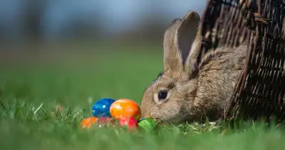 Ostern 2026: Die tiefere Bedeutung der Karwoche und Osterfeiertage