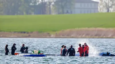 Ostsee-Wal: Stress durch Menschen? Experten warnen vor Vermenschlichung