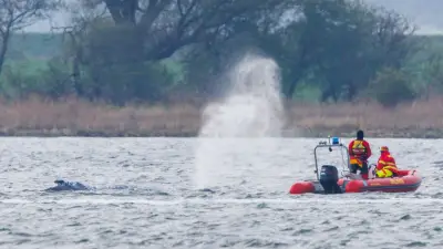 Ostsee-Wal vor Wismar: Eine Lektion in Demut vor der unberechenbaren Natur