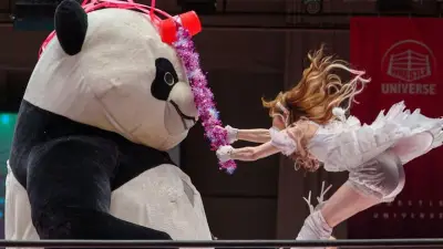 Pelziger Wrestler: Dieser Riesen-Panda ist in Japan ein absoluter Star