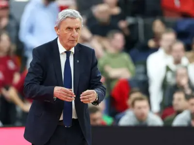 Pesic plant Zukunft beim FC Bayern: Trainerende naht, aber Basketball bleibt