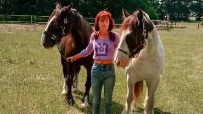 Pferde nach Feuerwerk ausgebüxt: Besitzerin soll 12.000 Euro zahlen