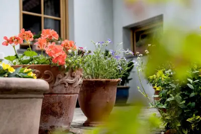 Plastik im Garten vermeiden: So schützen Sie Boden und Umwelt nachhaltig