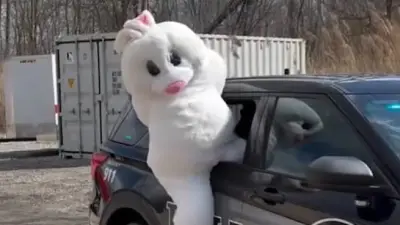 Polizei mit Osterhasen-Hilfe: Flüchtige Verdächtige in Michigan gefasst