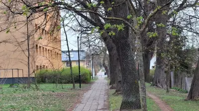 Polizistenattacke in Waren: Täter muss über 3100 Euro Strafe zahlen