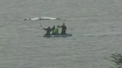 Rettungsversuch für Buckelwal Timmy: Helfer nähern sich nach 20 Tagen Drama