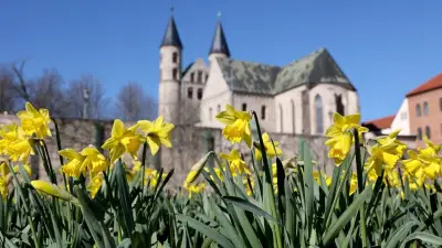 Sachsen-Anhalt erwartet sonniges Frühlingswetter mit Bodenfrostgefahr