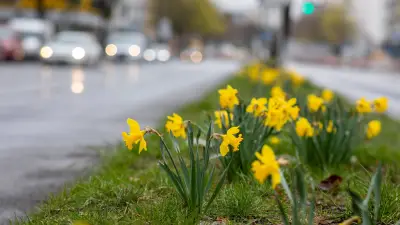 Sachsen-Anhalt: Sonnige Tage, frostige Nächte - Gärtner aufgepasst!