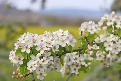 Sachsen erwartet sonnige Tage nach trüben Regentagen