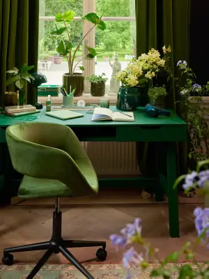 Schreibtischpflanze: Diese 3 Gewächse überleben Ihr Homeoffice