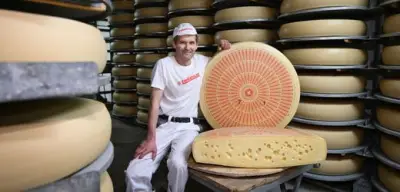 Schweizer Käser retten Löcher im Emmentaler mit Heublumenpulver