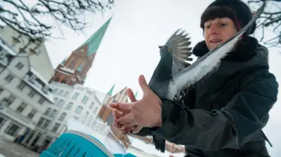 Schweriner OB-Kandidatin Aileen Wosniak: Tierschutz als politischer Antrieb