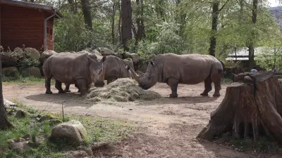 Schweriner Zoo feiert 70. Geburtstag mit 5000 Gästen