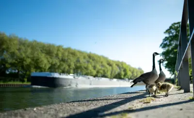 Sommertage in Sicht: 25-Grad-Marke wird geknackt