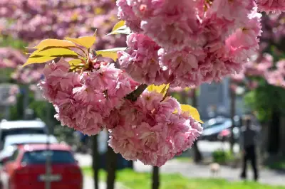 Sonne und bis zu 28 Grad: So startet der Mai in Sachsen-Anhalt