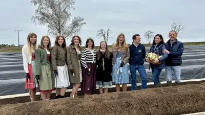 Spargelsaison 2026 im Saalekreis: Hindorf & Söhne eröffnen mit königlichem Glanz in Langeneichstädt