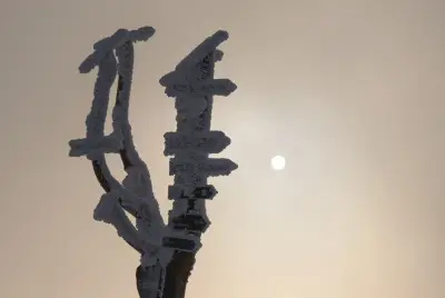Später Wintergruß: Leichter Schneefall im Erzgebirge zum Wochenende