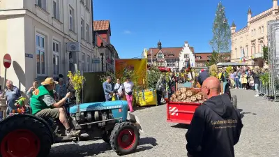 Sternberg startet Frühjahrsputz-Aktion für perfektes Rapsblütenfest 2026