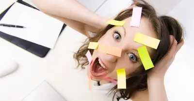 Studie: Flavanolreicher Kakao schützt Blutgefäße vor Stressfolgen