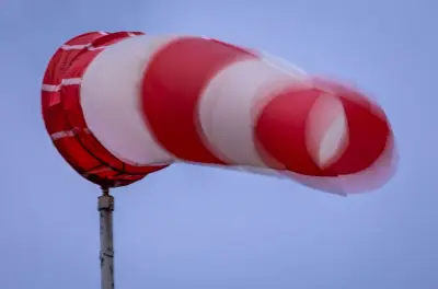 Sturmböen fegen durch Nordbrandenburg: DWD warnt vor Windgeschwindigkeiten bis 80 km/h