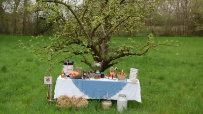 Tag der Streuobstwiese: Lützenerin kämpft für den Erhalt des Kulturguts