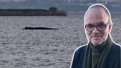 Timmy der Wal: Zwischen Rettungshysterie und nationaler Symbolik in der Ostsee