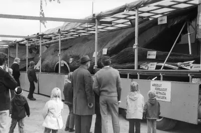 Toter Wal als DDR-Attraktion: „Unvergesslich“ für Besucher