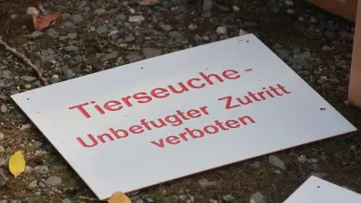 Trotz Impfpflicht: Newcastle-Krankheit breitet sich in Brandenburg weiter aus