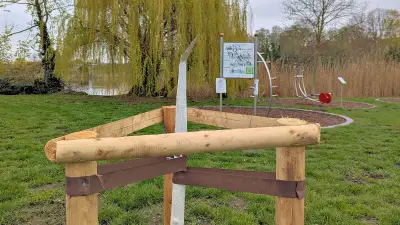 Vandalismus an Bäumen am Gotthardteich in Merseburg: Stadt prüft Gegenmaßnahmen
