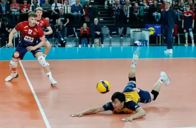 Volleyball Lüneburg verliert CEV-Pokal-Finale gegen Piacenza mit 0:3