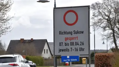 Vollsperrung in Banzkow: Motorsägen sichern Straße durch Baumkronen