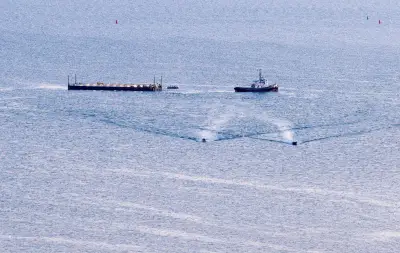 Wal-Transport im Stahlbecken: Initiative will Wal in Nordsee freilassen