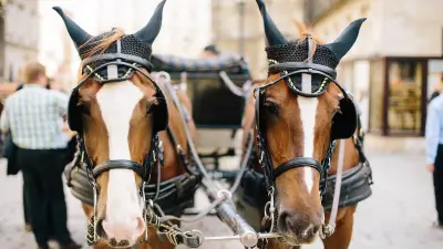 Warum ich keine Pferdekutschen mehr nutze: Ein kritischer Blick auf den Tourismus
