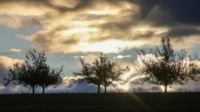 Wechselhaftes Aprilwetter in Sachsen-Anhalt: Sonne am Samstag, Regen am Sonntag