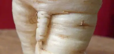 Wenn Männer vor Ärztinnen zurückschrecken: Die fragile Männlichkeit im Behandlungszimmer