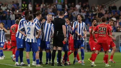 Wilder Aufstiegsgipfel: Darmstadt und Elversberg trennen sich 3:3