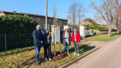 Zuckerfabrik Könnern pflanzt sechs neue Bäume für die Umwelt
