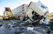 A9 bei Bad Dürrenberg: Lkw kracht in Schwerlasttransport – vier Verletzte