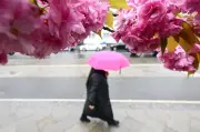 April in Berlin und Brandenburg: Regenrekord und viel Sonnenschein