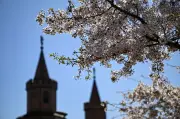 Aprilwetter in Berlin und Brandenburg: Bis zu 22 Grad am Samstag, nachts Bodenfrost