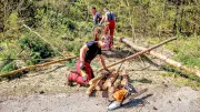 Azubi-Projekt im Wald: Faschinenherstellung für Hochwasserschutz
