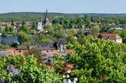Baumblütenfest in Werder: Obstwein-Genuss unter blühenden Bäumen ab Samstag