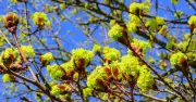 Bayern startet mit Sonnenschein und bis zu 22 Grad in die Feiertagswoche