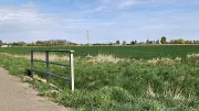 Bayern-Unternehmen plant großen Autohof in Köthen an der B185