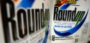 Bayers Glyphosat-Skandal: Über 24 Milliarden Euro Kosten durch Monsanto-Übernahme