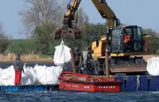 Bergung des Buckelwals vor Poel: Sandsack-Barriere soll helfen